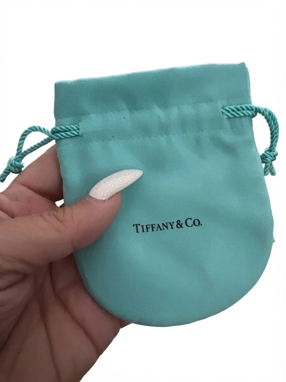 Tiffany & Co. Signature Blue Gift Bag and Drawstring Pouch